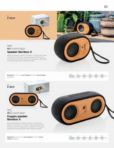 03 - Doppio speaker in bamboo.jpg